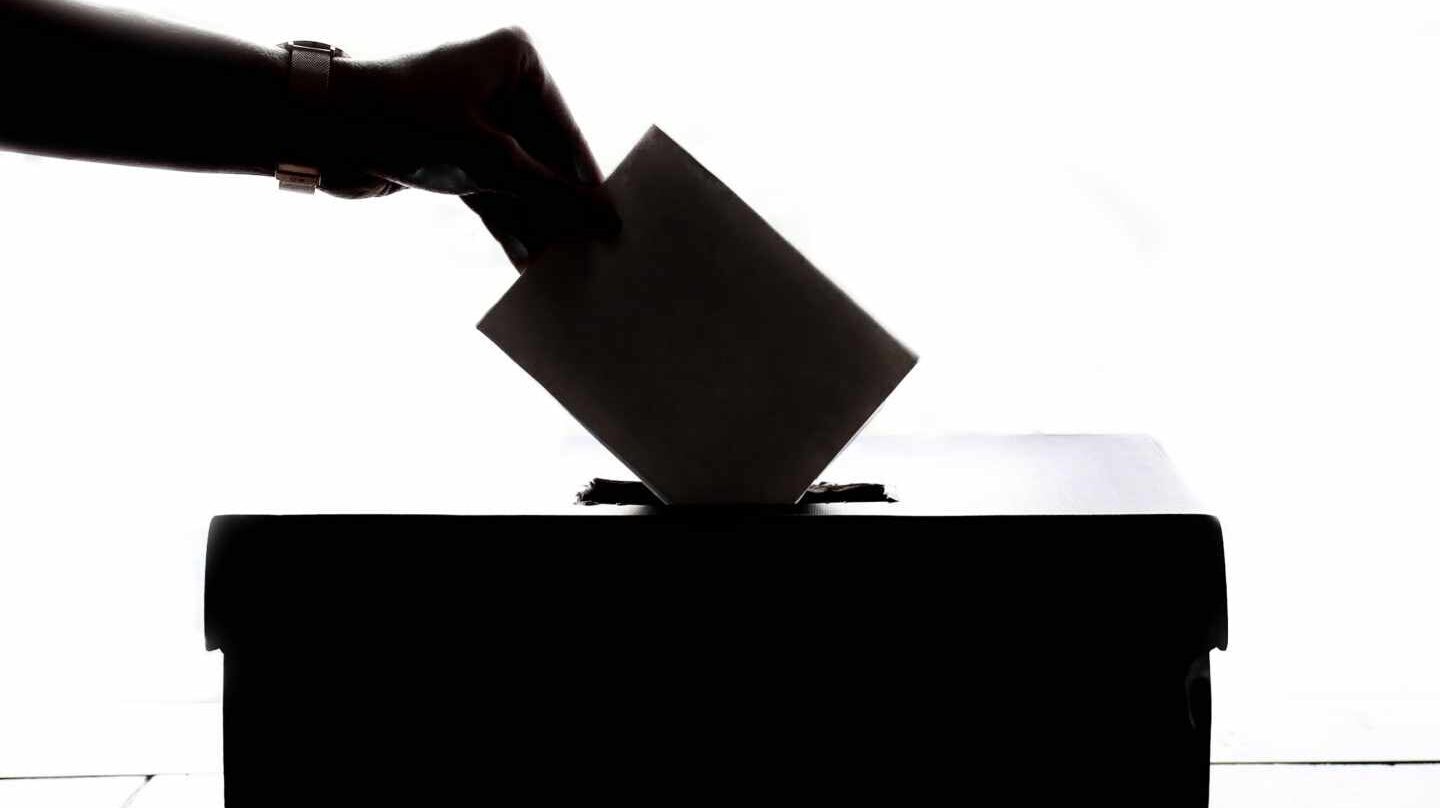 Elecciones al Parlamento Vasco. Reclamaciones de las inscripciones del censo electoral 