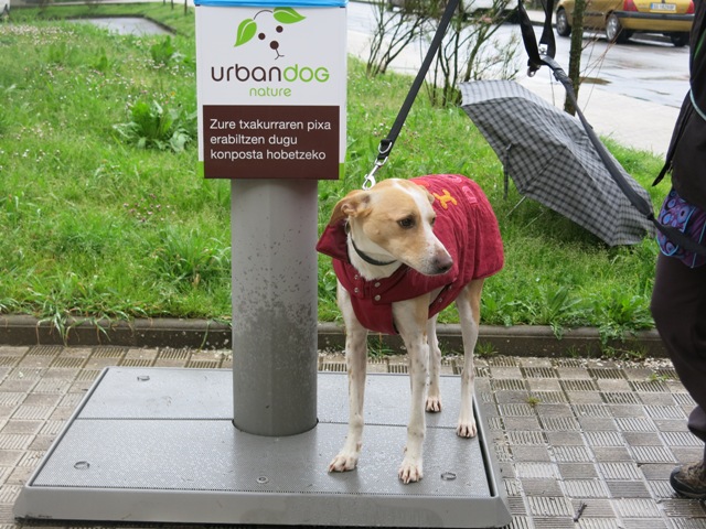 2014-03-24 urbandog1